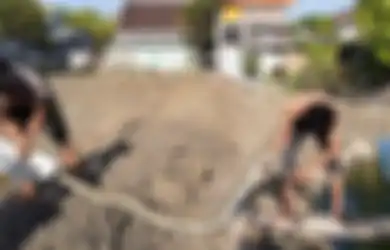 'Saya Memang Suka Ular Sejak Kecil,' Sedang Beri Makan Lele, Warga Temukan Ular Sanca Kembang Sepanjang 3 Meter