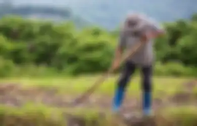 Petani Ini Miliki Uang Belasan Miliar dan 8 Unit Mobil dengan 3 Mobil Mewah, Polisi Ungkap Lumbung Uangnya!