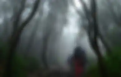 Dear Anak Gunung, Jangan Lagi Bawa atau Makan Mie Ketika Naik Gunung!