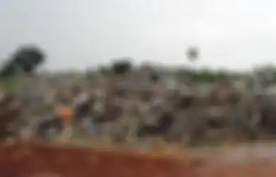 Ramai Soal Telur yang Terkontaminasi dan Pabrik Tahu yang Gunakan Sampah Plastik, Ternyata Sampahnya dari Limbah Impor