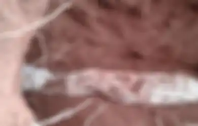 Sisi Lain Mak Erot Sang Legenda Pembesar Vitalitas Pria, Terjadi Hal Aneh Saat Kuburannya Dibongkar
