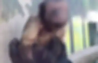 Karena 'Berwajah Manusia,' Monyet Ini Gagal Merayu, Sulit Dapat Pasangan, dan Betah Sendiri Selama 19 Tahun: 'Ia Suka Bermain Lumpur'