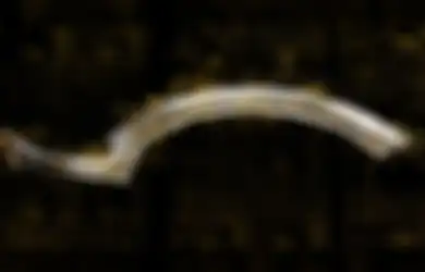 Pedang 'Sabit' Khopesh: Senjata Orang Israel dari Mesopotamia yang Menghantarkan Mesir Menuju Supremasi Militer, Apa Kehebatannya?