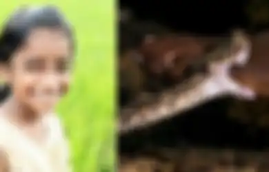 Kalau Saja Gurunya Tidak Menganggap Aduannya Sebagai Candaan, Nyawa Murid SD Itu Pasti Selamat dari Gigitan Ular