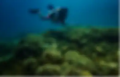 Kepulauan Sangihe dan Kerajaan Bawah Lautnya