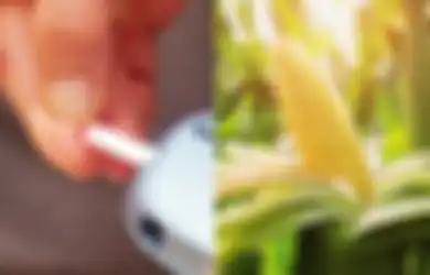 Berita Baik untuk Penderita Diabetes, Menurut WHO Makanan Ini Paling Baik Buat Dikonsumsi