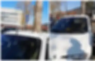 Orang-orang Kebingungan Pohon Besar Bisa Tumbuh di Tengah-tengah Mobil Ini, Hingga Seseorang Akhirnya Ungkapkan Fakta Tak Terduga Ini