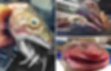 Saat Nelayan Ini Menarik Jaringnya yang Jatuh, Siapa Sangka 'Monster Laut' Mengerikan yang Muncul dari Dasar Lautan, Deretan Giginya Merupakan Fitur Primitif