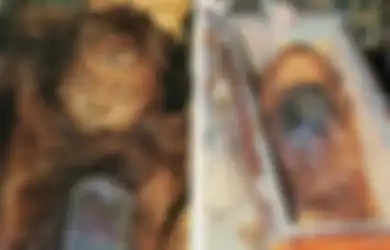 Disebut Jadi Mumi Tercantik, Mata Mumi Rosalia Lombardo Seolah Berkedip Jika Dilihat dari Dekat