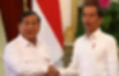 Tunjuk Prabowo Subianto Jadi Pemimpin Proyek Lumbung Pangan, Jokowi Kena Kritik Anggota Komisi I DPR: Itu Bukan Tupoksinya Kementerian Pertahanan