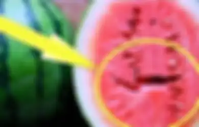 Hati-hati, Jika Membongkar Semangka Temukan Tanda Seperti Pada Gambar Ini, Sebaiknya Buang Saja Buah Tersebut, Begini Alasannya!