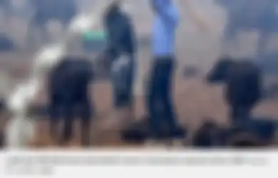 3.000 Kerbau Sudah Disembelih Secara Brutal Pada Pengorbanan Hewan Terbesar di Dunia, Dulu Bahkan Mencapai 500.000 Ekor
