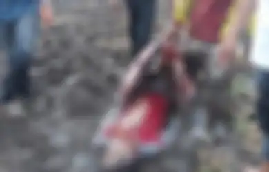 Viral Seorang Petani Sulawesi Tewas Tersambar Petir, Hati-hati! Ternyata Petir Terganas di Dunia Ada di Indonesia di Sini Lokasinya