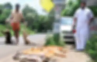 Bekerja Sebagai ‘Pembunuh Anjing Terlantar’, Pria Ini Tidak Kuasa Saat Bayinya Menjadi Penebus Dosanya Dan Mengalami Kondisi Hampir Sama Sebelum Akhirnya Meninggal Dunia