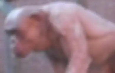(Video) 2 Simpanse yang Rambutnya Rontok Ini Tunjukkan Seberapa Kuat mereka, Jangan Terkejut dengan Lengannya yang Kekar