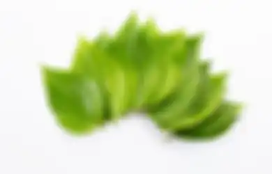 Tak Perlu Beli Skincare Mahal-mahal, Flek Hitam dan Jerawat di Wajah Dijamin Langsung Lenyap Cuma dengan Modal Daun Murah Ini