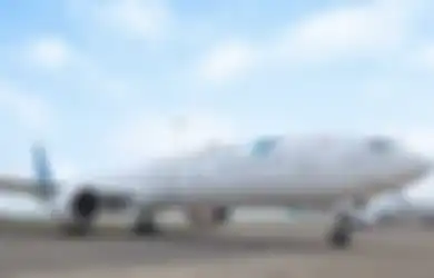 Begini Sepinya Langit Indonesia di Situs Flightradar24, Biasanya 1200 Penerbangan Sehari