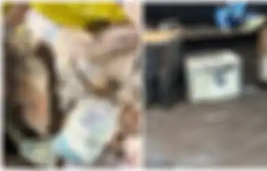 Berniat Musnahkan Brankas Tua, Pria Ini Malah Temukan Uang Rp370 Juta di Dalamnya, Bukannya Diambil yang Dilakukannya Selanjutnya Bikin Hati Terenyuh