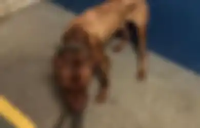 Pantas Polisi Geram Saat Menggerebek Praktik 'Sabung Anjing' Yang Diiklankan Online, Ditemukan Daging Anjing Panggang Untuk Penonton, Tidak Disangka, Salah Satu Pelakunya Adalah Orang Penting