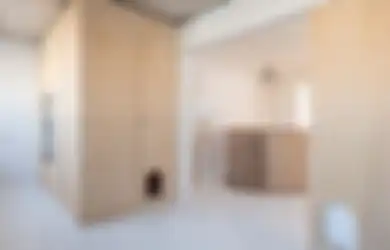 Butuh Papan Lebar dan Besar? Pakai Plywood saja Gantikan Kayu Solid!