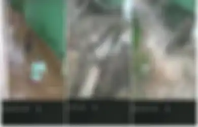 Mainan Ponsel di Tengah Banjir, 2 Orang Ini Lolos dari Maut Setelah Tembok di Atas Kepala Mereka Mendadak Runtuh Diterjang Arus Deras