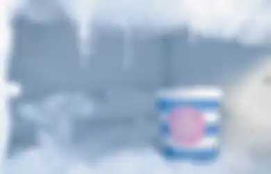 Termasuk untuk Simpan Baterai, Ternyata Freezer Bukan Cuman untuk Bekukan Makanan, Inilah Fungsi Lain yang Jarang Diketahui