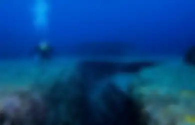 Disebut Bagian Terdalam di Planet Ini, Penyelam di Palung Mariana Terkejut, Ternyata Hanya Menemukan Benda yang Sering Kita Jumpai Ini