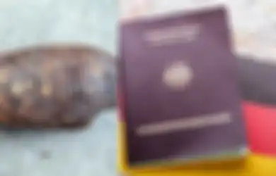 ‘Hanya’ Karena Besi Berkarat Ini, 15.000 Orang di Jerman Harus Dievakuasi, Ternyata Sebegini Bahayanya Benda Itu