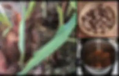 9 Manfaat 'Ajaib' Talas Ungu yang Harus Anda Ketahui, Mencegah Risiko Kanker dengan ebaikan Berikut Ini... 