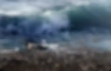 Sebuah Unggahan di Media Sosial Sebut Megathrust Sulawesi Sebebkan Gempa dan Tsunami, Beginilah Penjelasan BMKG