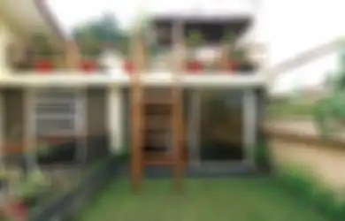 Taman Atap Bisa Dibuat dengan Luasan Terbatas, Ini Penjelasannya