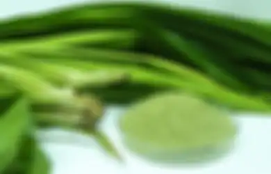 Siapa Sangka Minum Air Rebusan Daun Pandan Setiap Hari Bikin Tubuh Terhindar dari Penyakit Mematikan Ini
