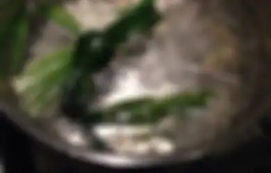 Beruntunglah Anda yang Rutin Konsumsi Air Rebusan Daun Pandan Ini, Khasiatnya Ampuh Atasi Berbagai Penyakit yang Ancam Sistem Kekebalan Tubuh