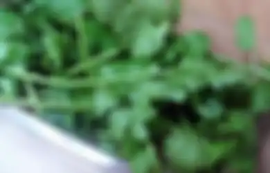 Daun Ketumbar Segar Terbukti Bersihkan Pankreas, Lever dan Ginjal