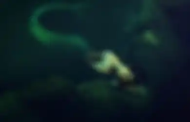 Bikin Merinding, Pria Ini Temukan Sesosok Putri Duyung di Antartika Melalui Google Earth, Lengkungan Indahnya Tertangkap Kamera Satelit: Kita Datang dari Laut, Tidak Seperti Monyet