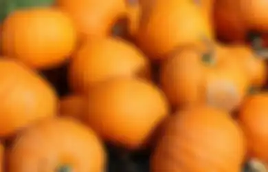Ternyata Ini Alasan Labu Baik untuk Penderita Diabetes, Apa Saja?