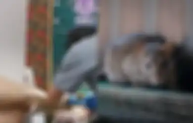 Jari Wanita Ini Berdarah Setelah Digigit Tikus: Hati-hati, Jika Digigit Tikus, Kita Berisiko Kena 4 Penyakit Mematikan Ini