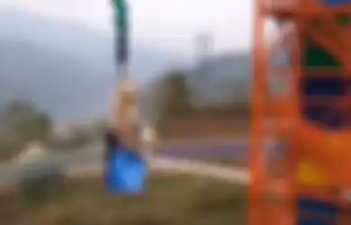 Berdalih Uji Coba Keamanan Wahana Baru, Seekor Babi Secara Kejam Diterjunkan dari Ketinggian 68 Meter, Terayun Berkali-kali hingga Kesulitan Memekik