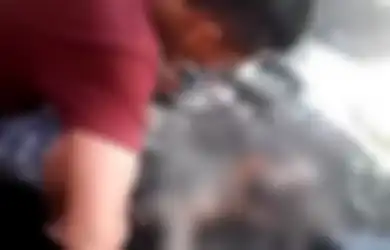 Kucing Kelabu Bergaris Ini Jadi Santapan Makan, Viral Video Pemuda Bakar Kucing Karena Populasinya Banyak: 'Hobinya Mengkonsumsi Daging Kucing'