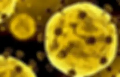 Selain Virus Corona, Sejarah Ungkap Daftar Panjang Penyakit Mematikan Lain yang Telah Pernah Lumpuhkan Hong Kong dan Asia, Banyak Berasal dari Binatang