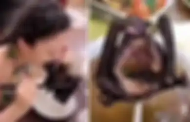 Akhirnya Terungkap! Beginilah Nasib Wanita yang Viral Akibat Makan Sup Kelelawar di Tengah Mewabahnya Virus Corona di Wuhan