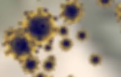 Misteri Mengapa Virus Corona Menyebar Dengan Cepat Kini Terkuak, Ahli Ungkapkan Penyebarannya Cukup Lewat Salah Satu Indra Manusia, Simak Penjelasan Selengkapnya