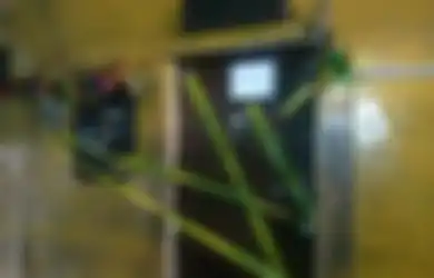 Bayarannya Dipotong 60% dan Ditarget Layani 10 Pria dalam Sehari oleh Mami, Para ABG Ini Ternyata 'Dibeli' dengan Sangat Murah oleh Para Mucikari yang Beromzet Rp 2 Miliar per Bulan
