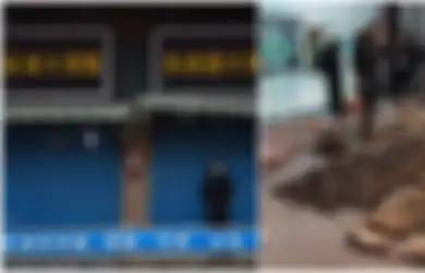 Akibat Pandemi Virus Corona, Borok China Terbongkar, Hewan-hewan Liar Ini Diselundupkan Sebagai Makanan, Ilmuwan Ungkapkan Tabiat Makan Orang-orang Tiongkok