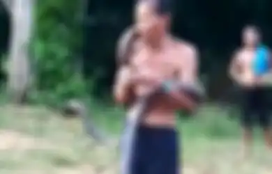'Bermain' Sambil Tertawa-tawa Sampai 'Kebal' Digigit King Kobra Berkali-Kali, Pria Ini Sampai Viral Sebelum Akhirnya Berakhir Seperti Ini