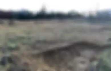42 Kerangka Tua Misterius Ditemukan di Lahan yang Akan Dibangun, Tubuh Mereka Terikat di Belakang
