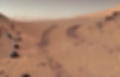 Peneliti Bereksperimen pada Tanaman Ganggang buat Kehidupan di Mars