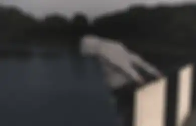 Pertaruhkan Nyawa Lompat dari Jembatan, Pria Ini Berhasil Selamatkan Ayah dan 2 Balita yang Akan Bunuh Diri
