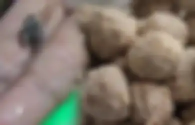 Bikin Geger Warga Karawang Gegara Dikira Bakso Tikus, Ternyata Hasil Lab Tunjukkan Fakta Mengejutkan, Nasib Penjual Disorot!