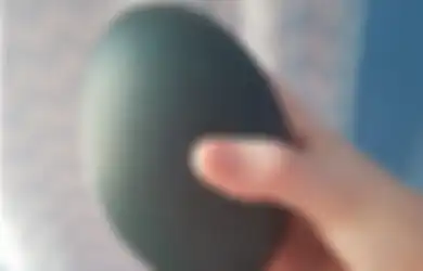 Wanita Ini Beli Telur Raksasa Seharga Ratusan Ribu, Dia Shock Ketika Temukan Hal Tak Terduga di Dalamnya